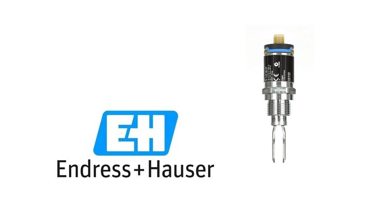 Вибрационный датчик предельного уровня E+H Liquiphant FTL31 / Endress+Hauser / Элта ЛТД