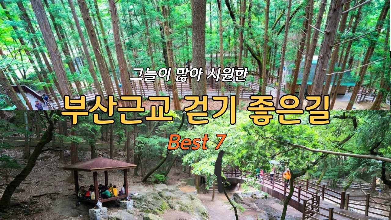 여름에 걷기좋은 부산근교 가볼만한곳 베스트7/걷는 내내 숲그늘과 시원한 바람이 부는 힐링길