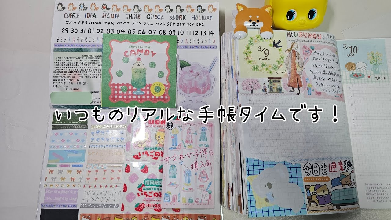 途中で、きり丸ときなこの遠吠えが入ってます🤣パパ の止める声がうるさかったから、ごめんなさい 🙇‍♀️#手帳 #ほぼ日カズン #イベントノート記録 #作業動画 #asmr