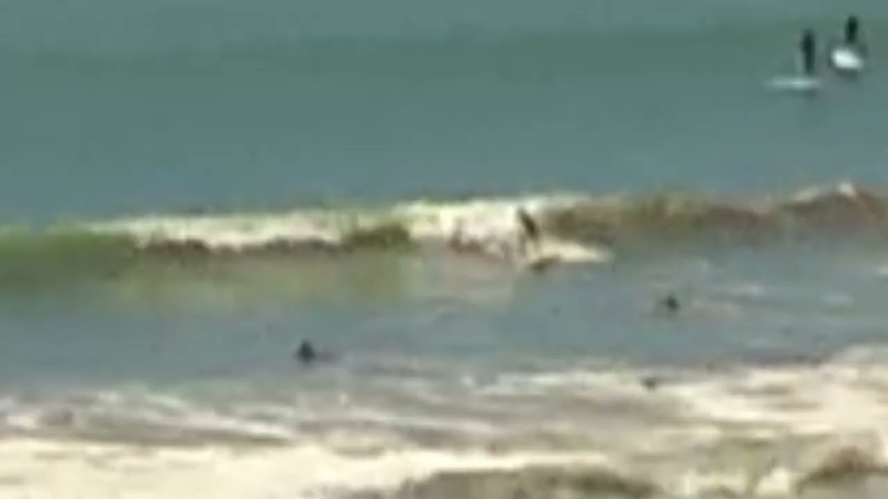 lindo dia de olas toco en varese 
