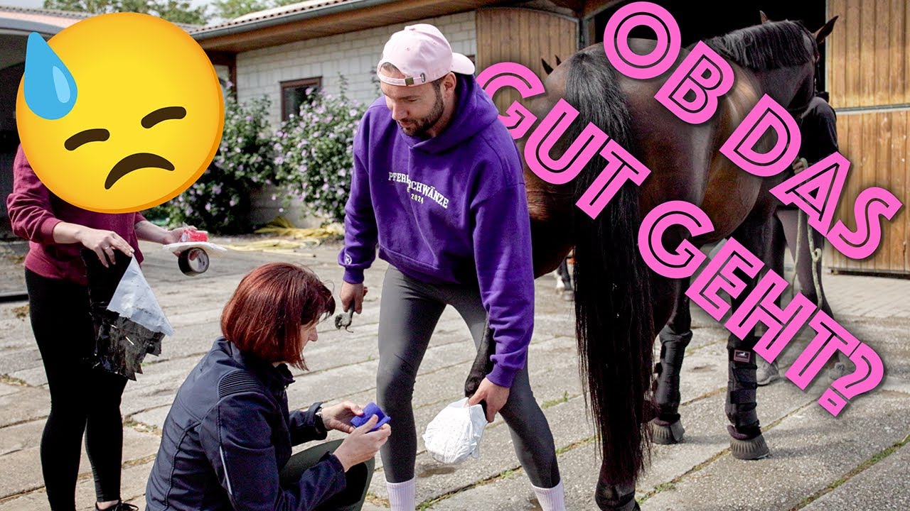 Unser neues zu Hause - wir ziehen um! 😭🏡➡️🐴