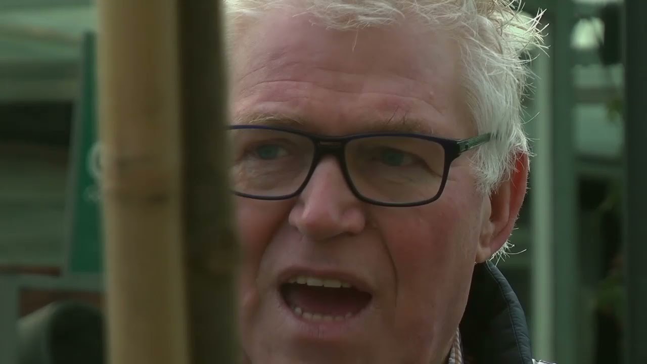 Tuintips met Jan Bent - Leivorm- en dakvormbomen