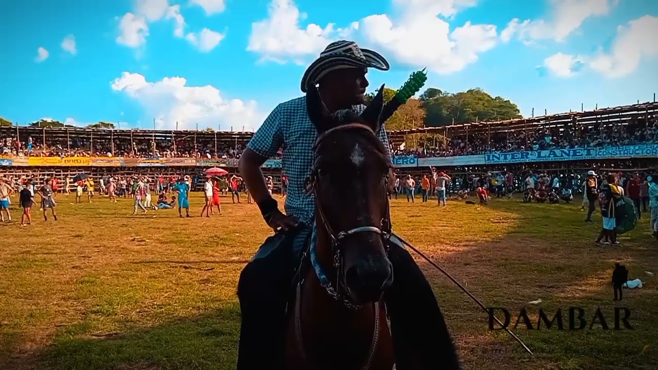 Un herido en la primera tarde de toros 😬😱//Guamo Bolivar