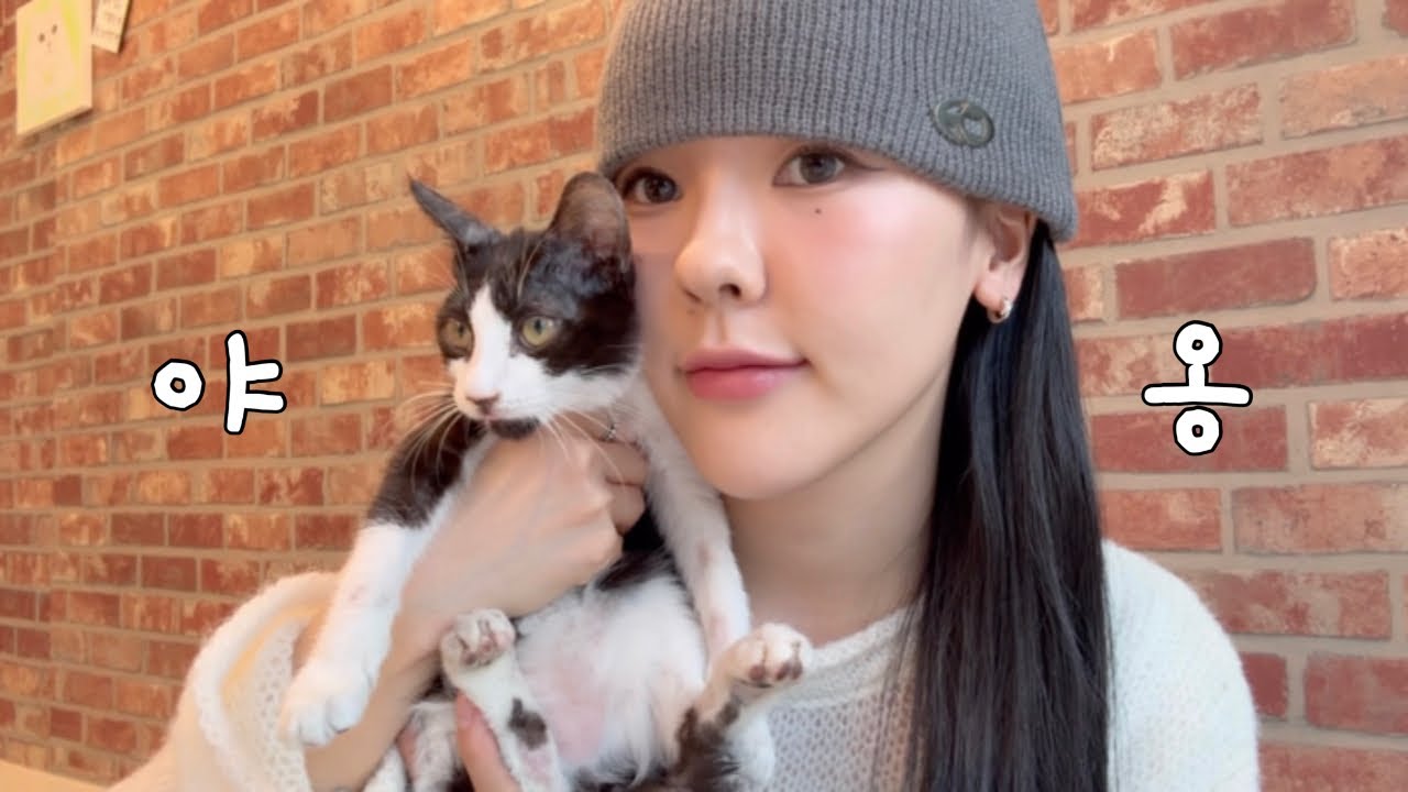 집사의 하루 고양이 카페 다녀왔어요 🐈‍⬛ • 건대 긴자료코 혼밥, 카페 라이츠 • H&M 쇼핑👗