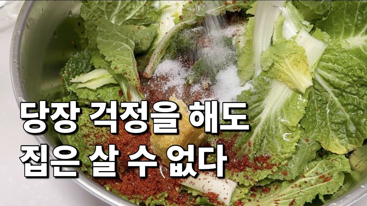 시집살이, 결혼8년차 큰며느리의 고민/집없이 행복주택에 사는 삶 