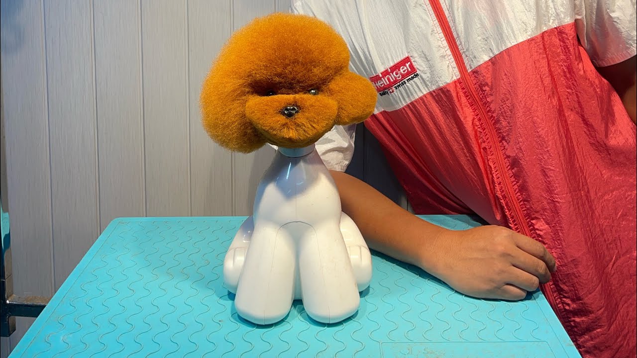 Asian Fusion Head