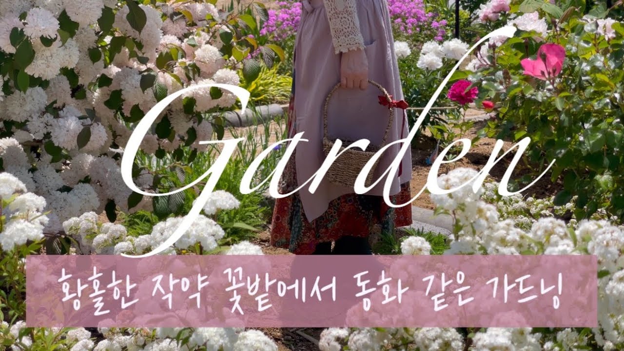 [Garden] 황홀한 작약 꽃밭에서 동화 같은 가드닝 | 노지 정원, 꽃 심는 법, 꽃 추천