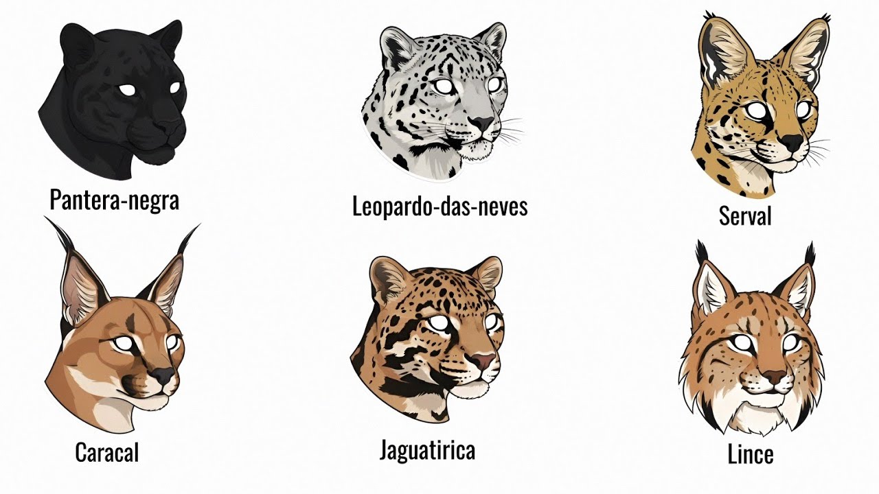 Cada Felino Selvagens Explicado em 8 minutos (Part 2)