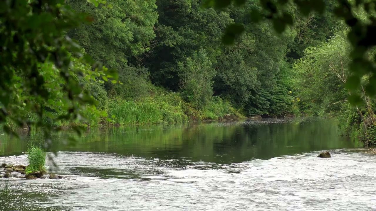 River Nore Thomastown Chill Music Sony A6400 4K