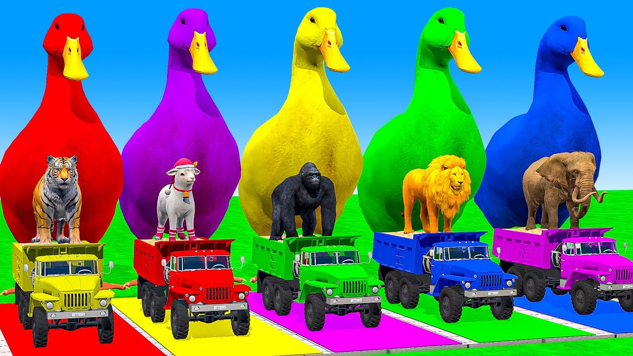 Long Slide Game With Cow Elephant Gorilla Hippopotamus Tiger - 3d Animal Game - Funny 3d Animals