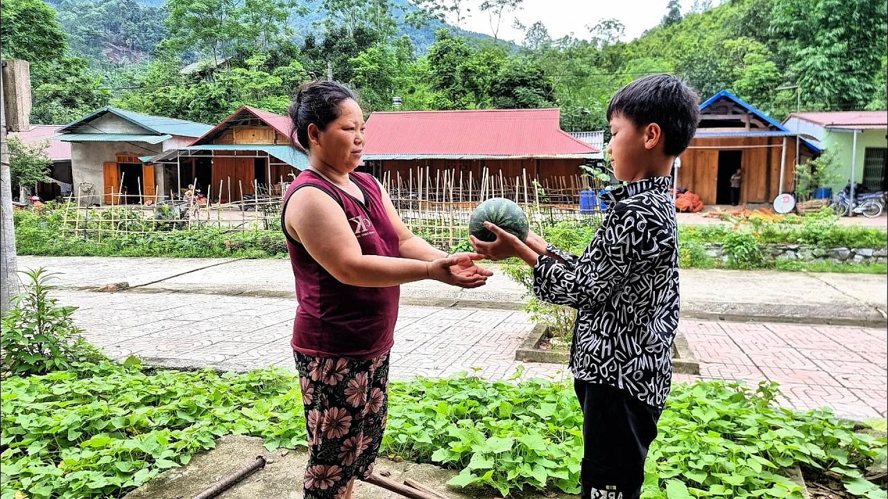 Full video: In 35 days, make traps to catch fish and harvest watermelons and wild figs to sell