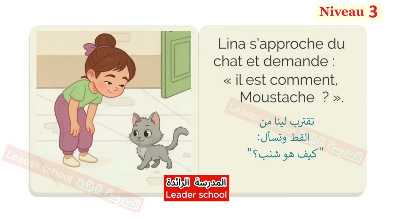 Le chat de l'école épisode 4 🐱 tu es en quelle classe ?🐱Niveau3 + résumé+ les événements الرائدة