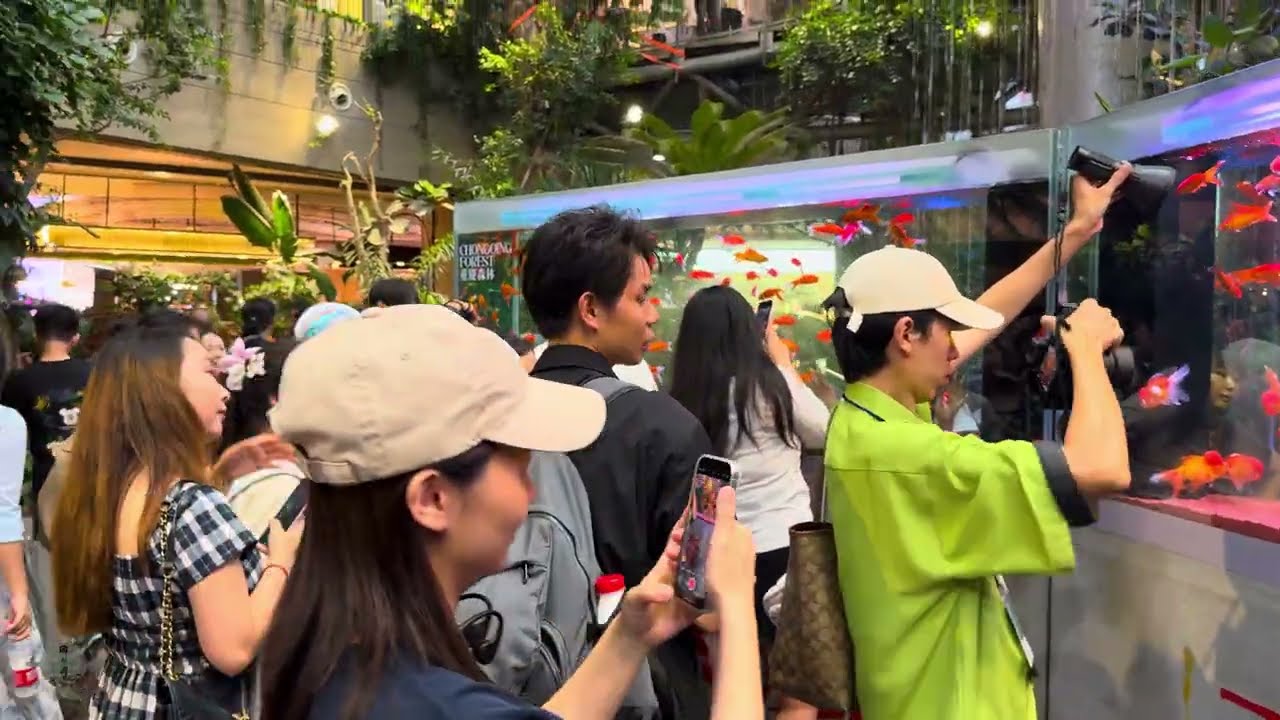 Amazing! They Built A Tropical Rainforest Inside A Mall - I've Never Seen Such Shopping Mall