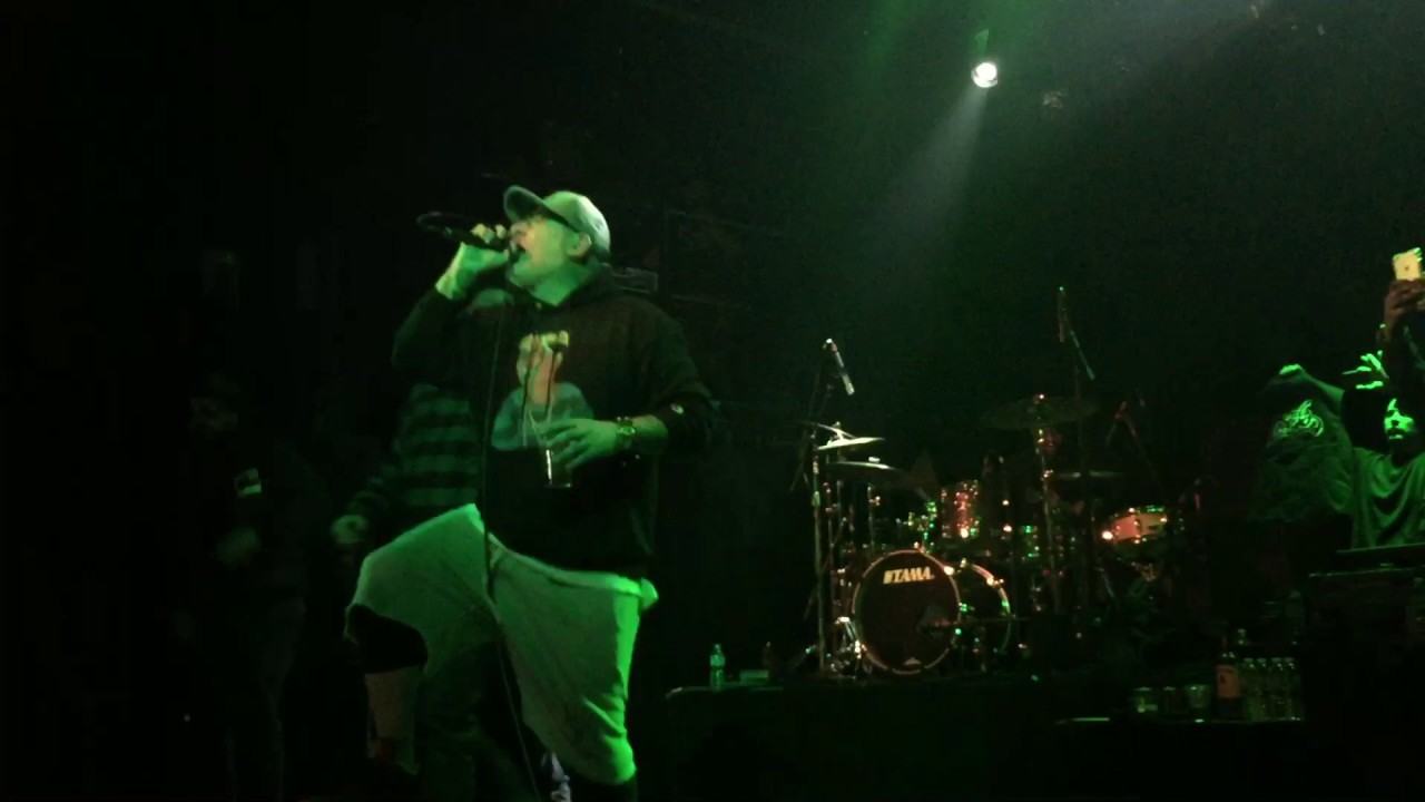 HOUSE OF PAIN/DIVINE STYLER  