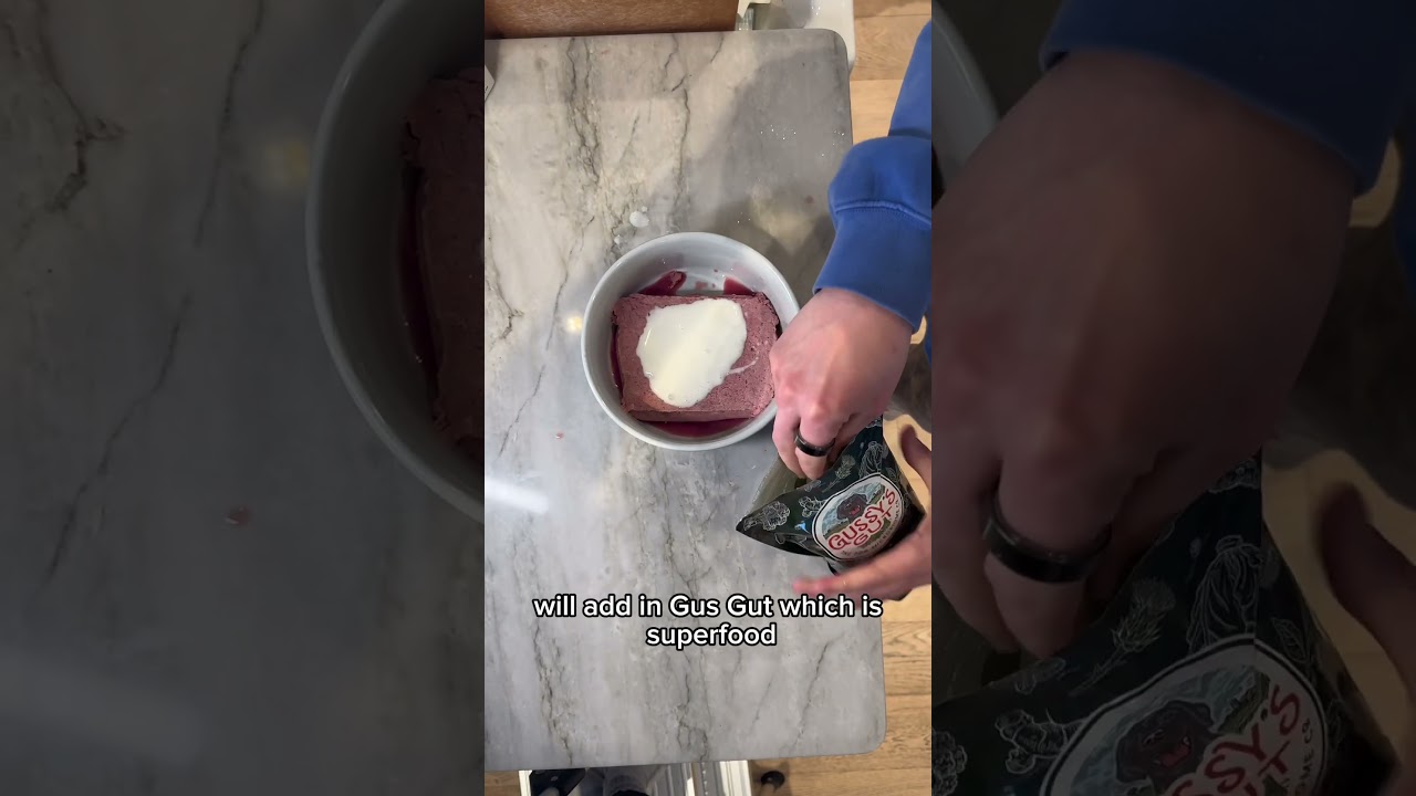 What my GIANT Boerboel eats everyday 🤯🤪