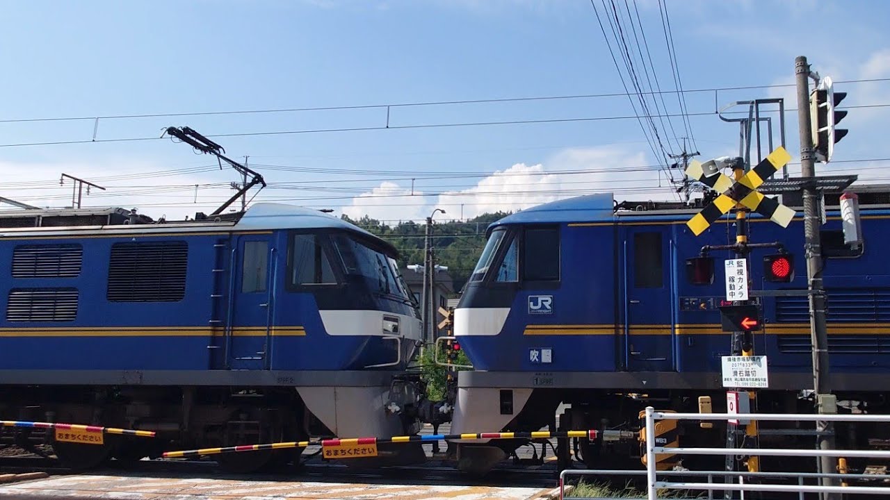 ﾑﾄﾞ付貨物列車が停車した😆目の前で見てみよう！　2024/09/12 山陽本線　備後赤坂駅　113系 115系 227系 EF210  #EF65