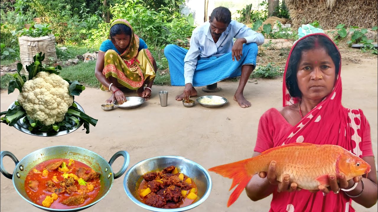 big size AMERICAN GOLD FISH recipe cooking with CAULIFLOWER & FISH EGG curry recipe by tribal family