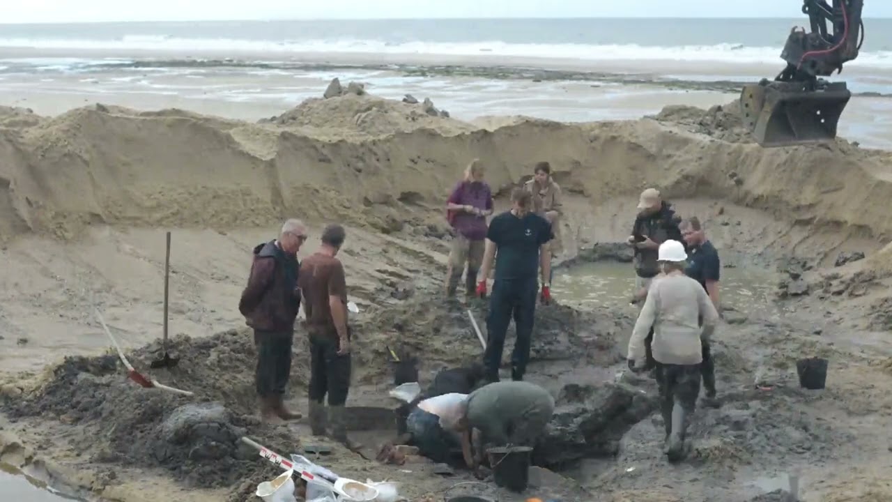 Les fouilles de Soulac (Gironde), &agrave; la recherche de bois du n&eacute;olithique et &Acirc;ge du Fer.