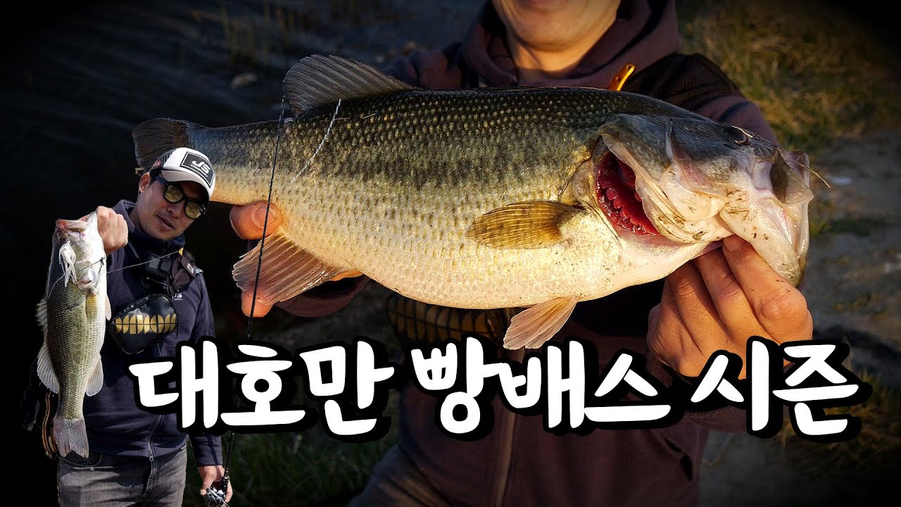 [피싱로그99.9] #229회 대호만 빵배스 시즌!!
