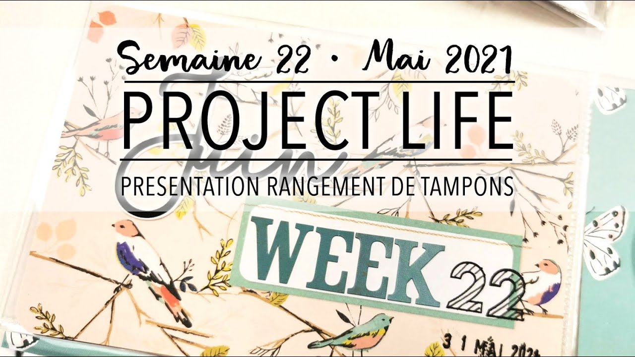 [Scrapbooking] - Project Life 23x30 - Semaine 22 - Parlons rangement de tampons clear