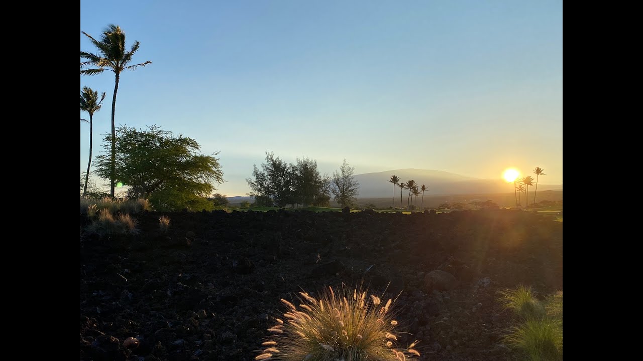 Hawaii: Checking in at King's Land & Swimming With Mantas!