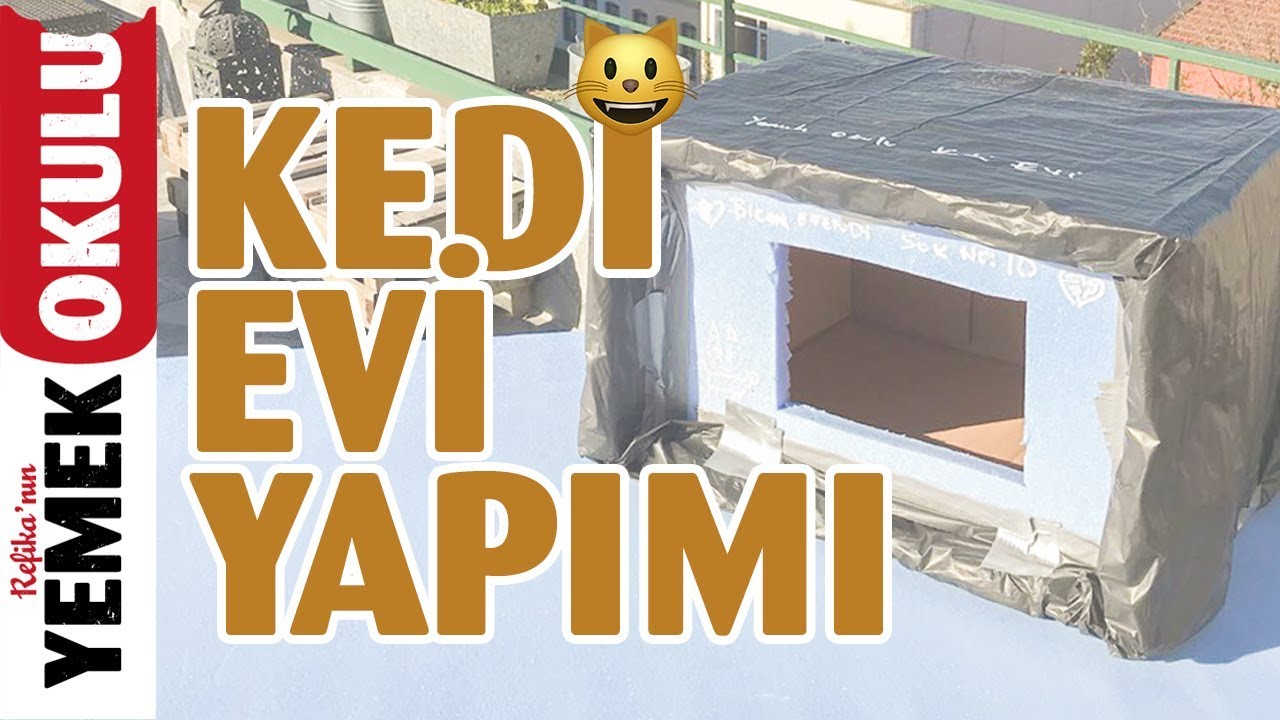 Kedi Evi Yapımı 😻Kedi Evi Nasıl Yapılır?