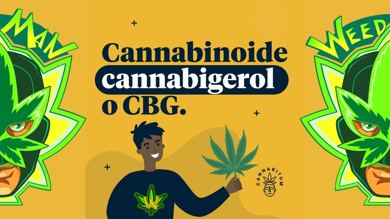 CANNABIGEROL  CBG Cannabinoide CBG o cannabigerol, &iquest;que es? Usos y Beneficios