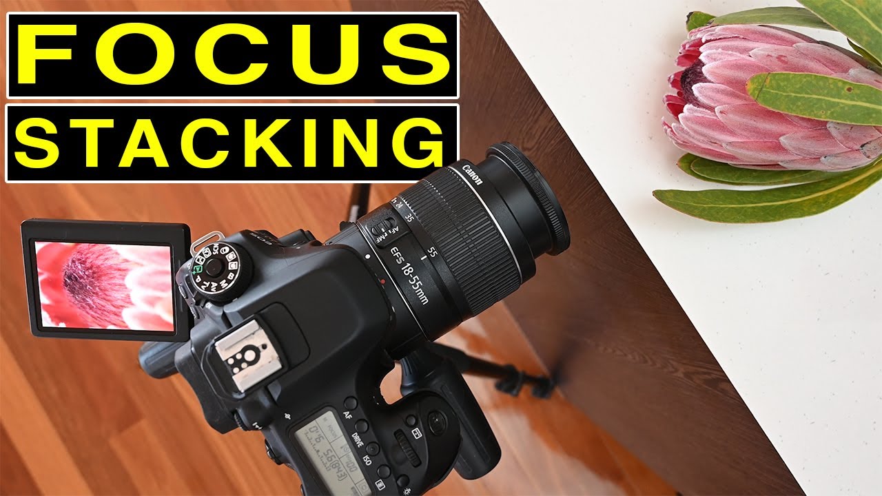 Как использовать FOCUS STACK для получения удивительно резких фотографий пейзажей, макросъемки ил...