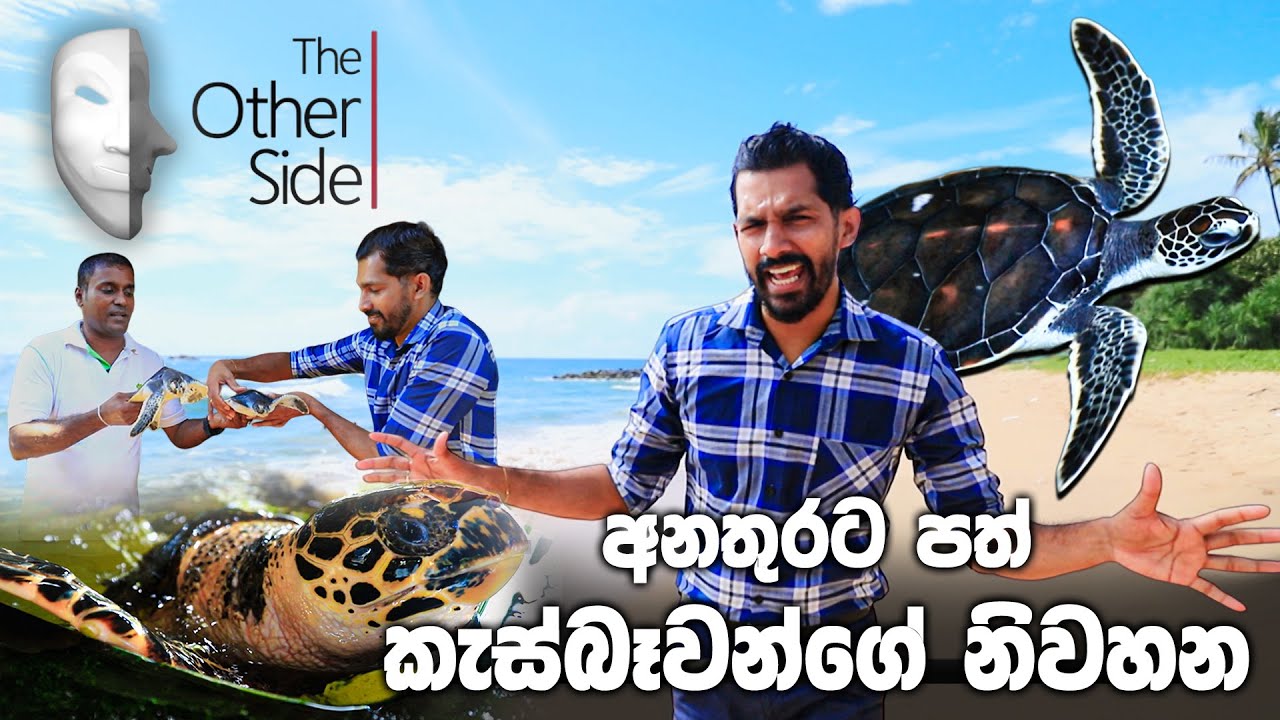 THE OTHER SIDE | අනතුරට පත් කැස්බෑවන්ගේ නිවහන | ep11