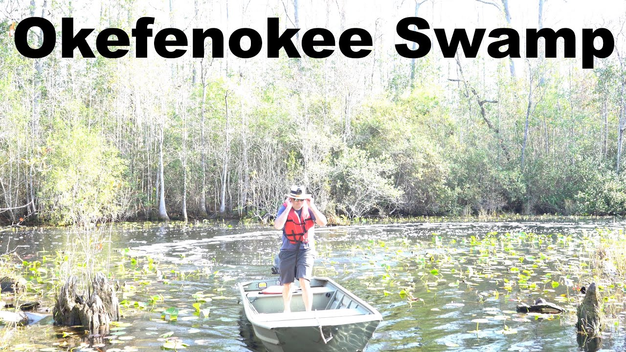 Okefenokee Swamp