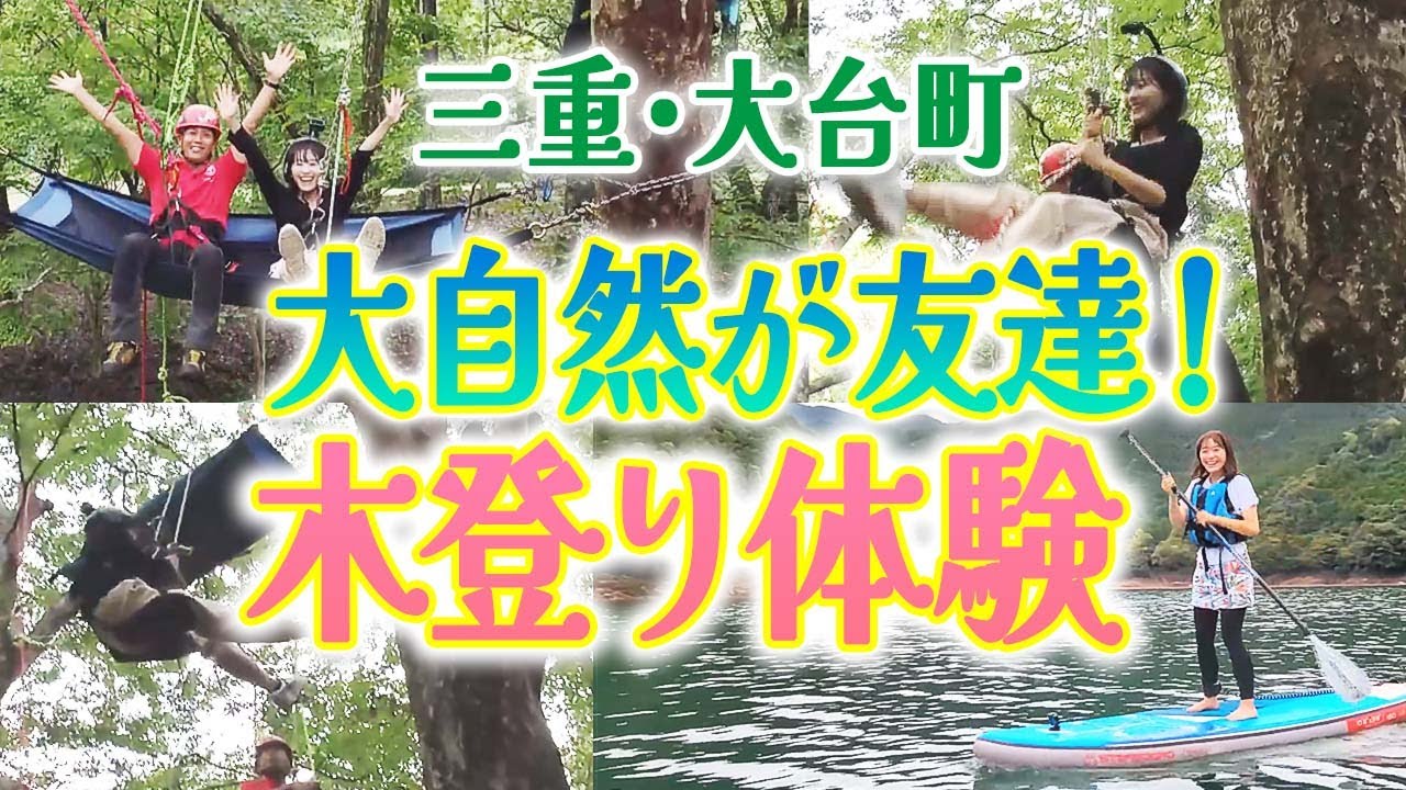 木とお友達になろう！はなちゃんがツリークライミングに挑戦  三重県大台町【わがマチ撮レジャー】2023年9月23日放送