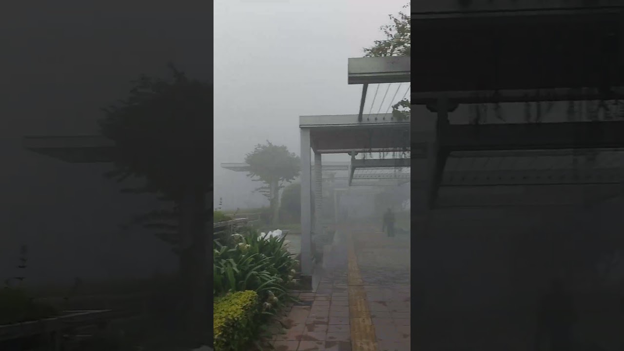 Delhi winters. Gurugram cybercity cyber hub in January. Morning walk in winter. Foggy mornings