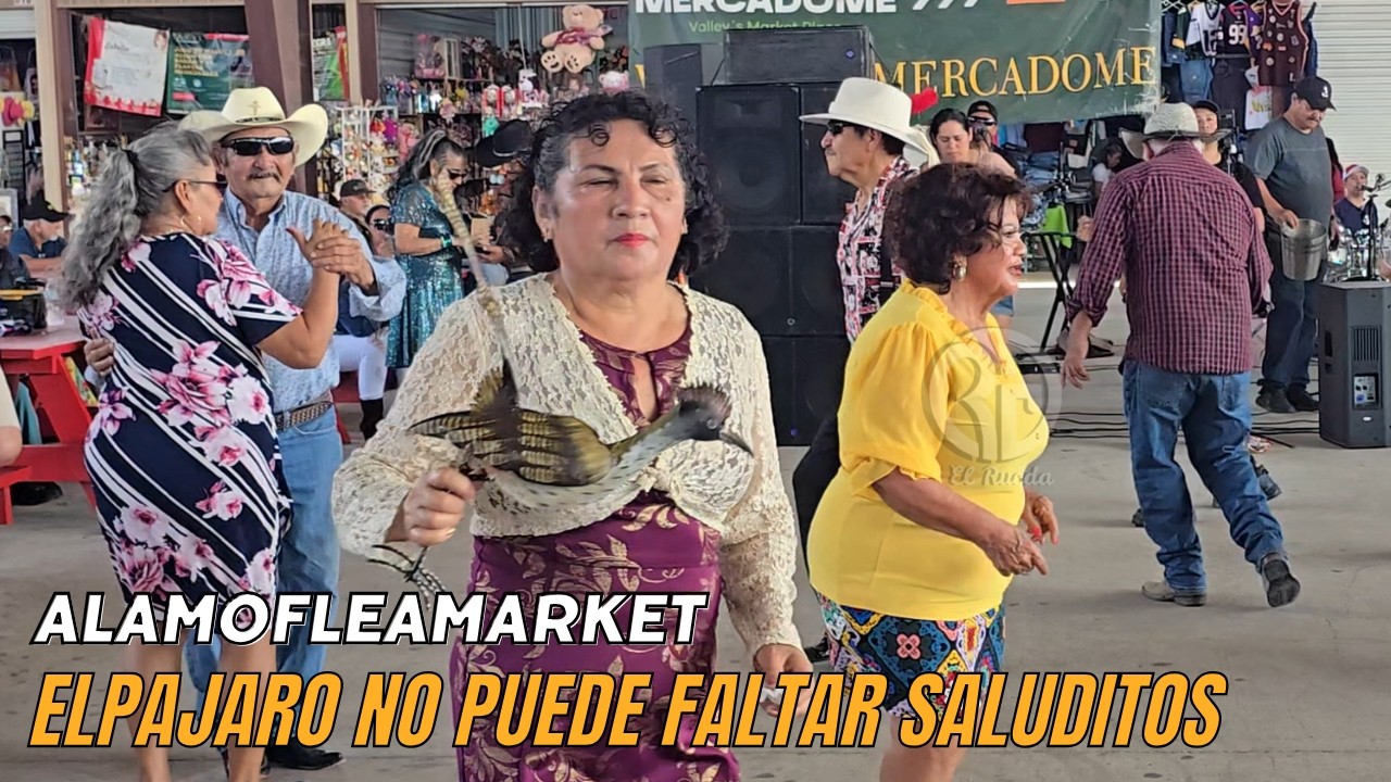 LA CORRECAMINOS CORRIENDO  EN EL BAILE #elrueda #humor #chihuahua