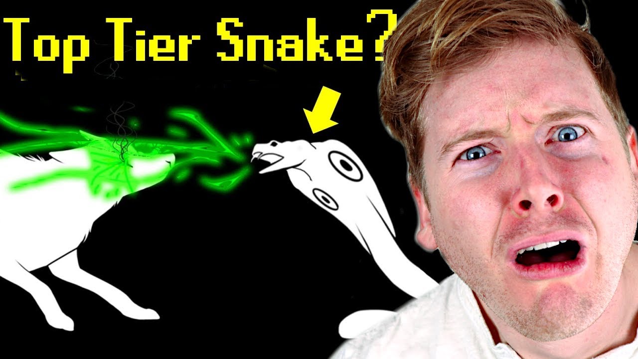 TierZoo's Snake Tier List Reaction