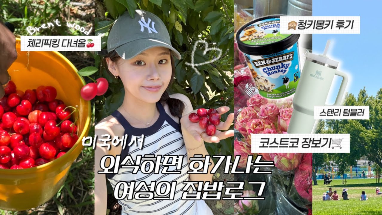 🇺🇸캘리vlog | 외식보다 집밥이 좋은 이유! 체리픽킹🍒+costco 장보기 | 벤앤제리 청키몽키 후기🍌,뚝딱이는 초보주부 미국 적응기
