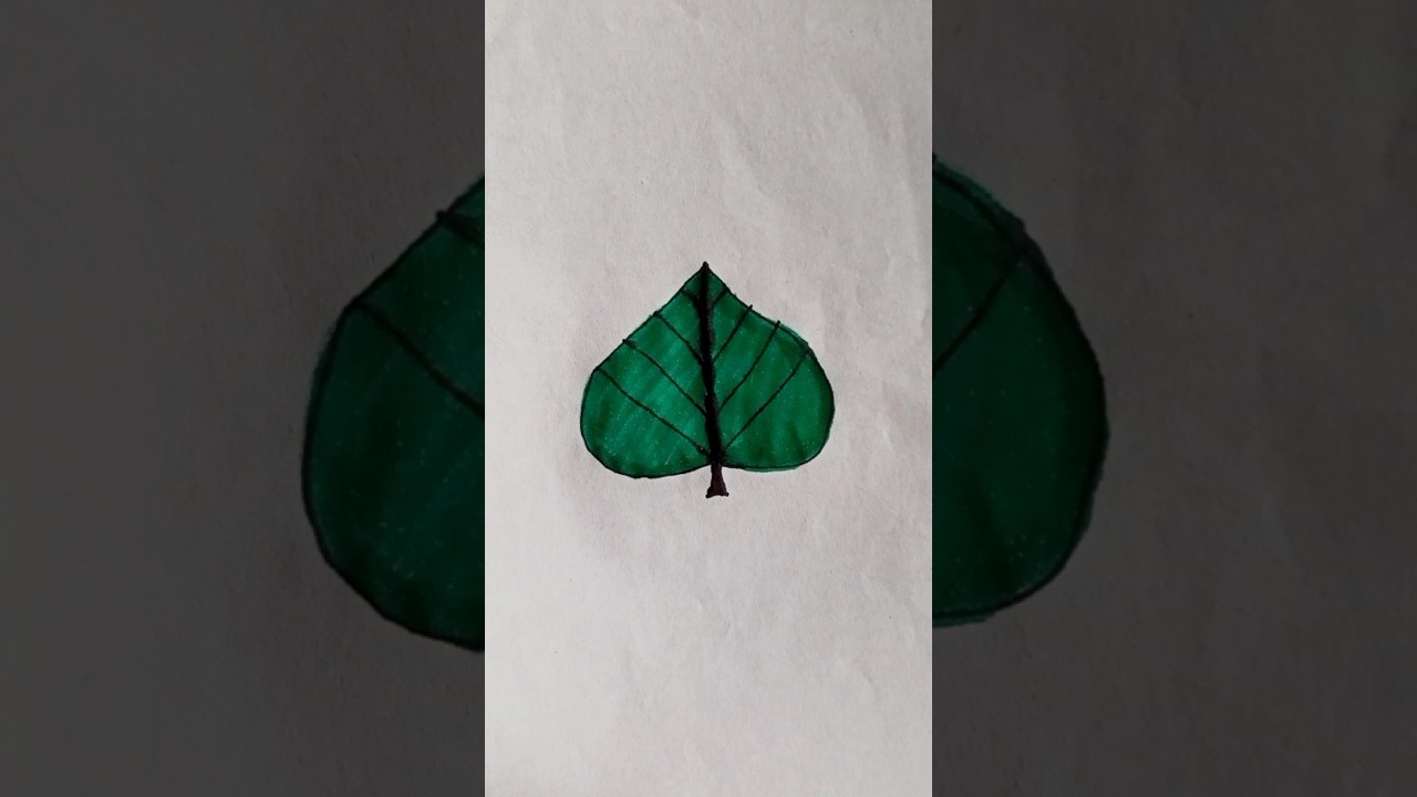 Easy green leaf drawing 
