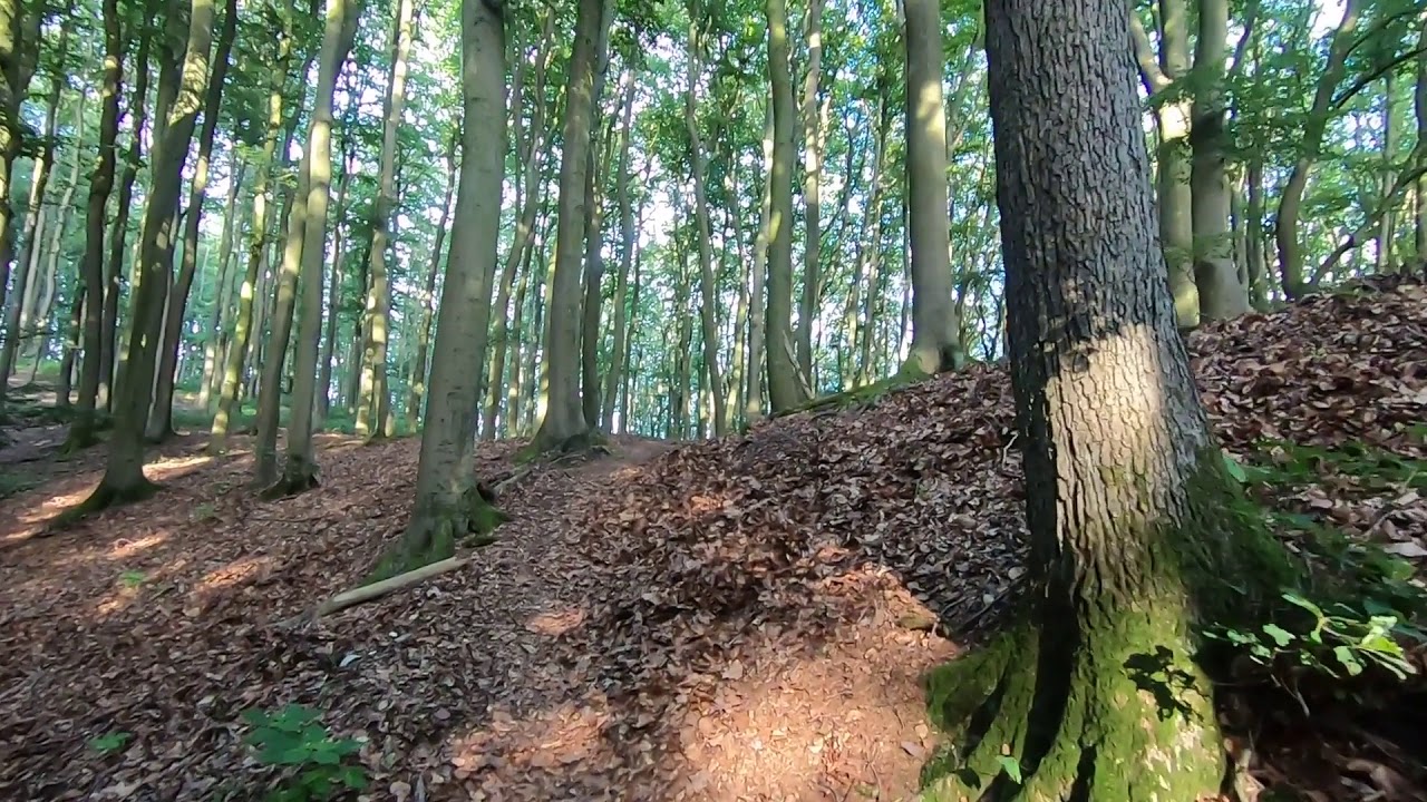 Top Wanderweg A2 Rotter Runde Extertal