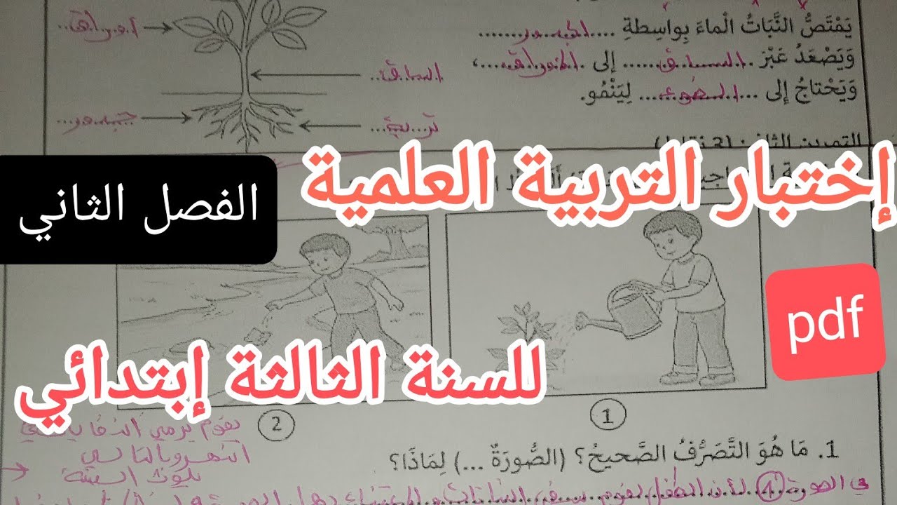 إختبار متوقع وبقوة في التربية العلمية للسنة الثالثة إبتدائي الفصل الثاني 