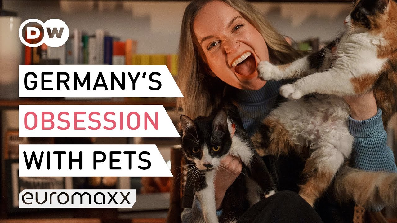 Getting a Pet in Germany: What you need to know from Taxes to Vocabulary | Germany In A Nutshell