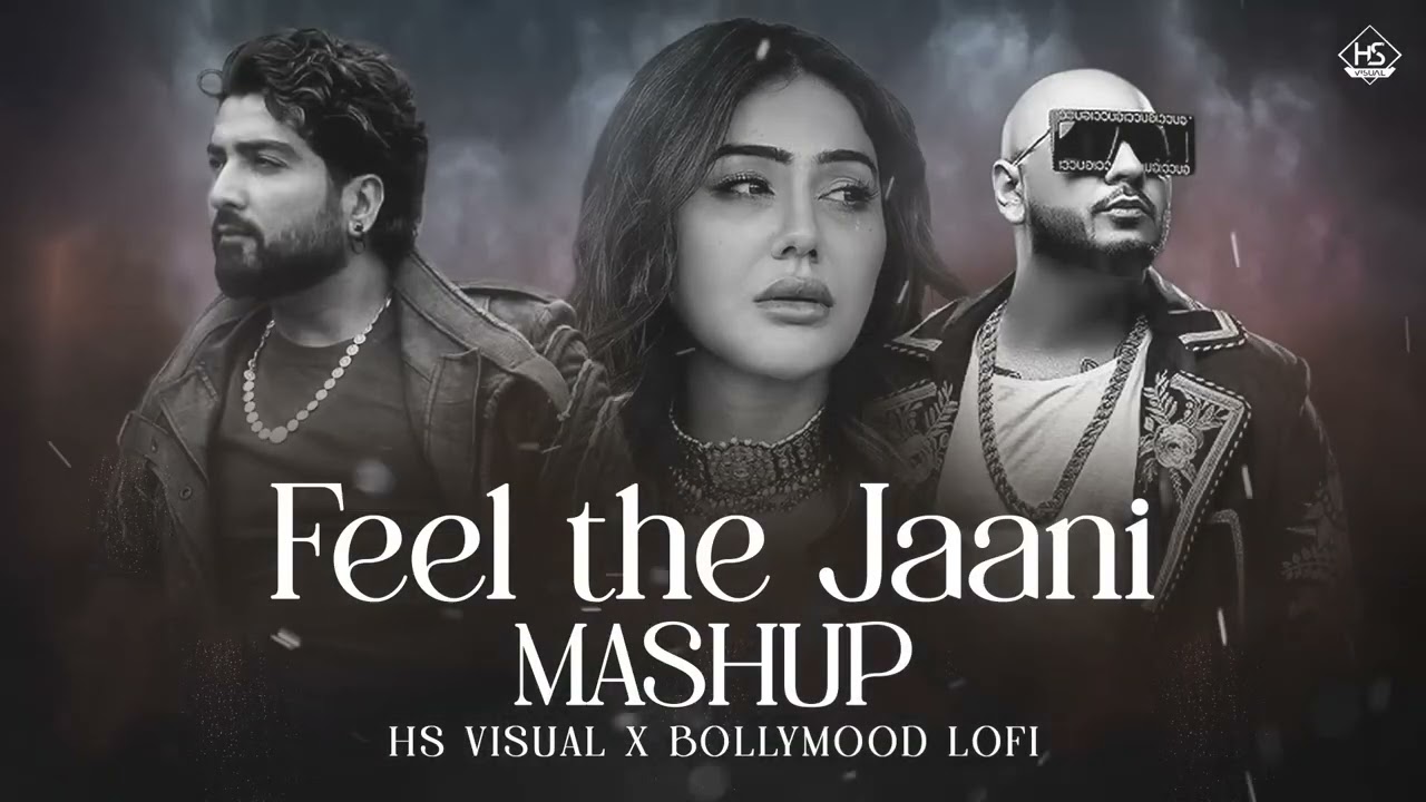 Feel the Jaani - Apsara 2 Mashup | B Praak Apsara 2 x B Praak , Arvinder`s Khaira - Asees Kaur | DM 