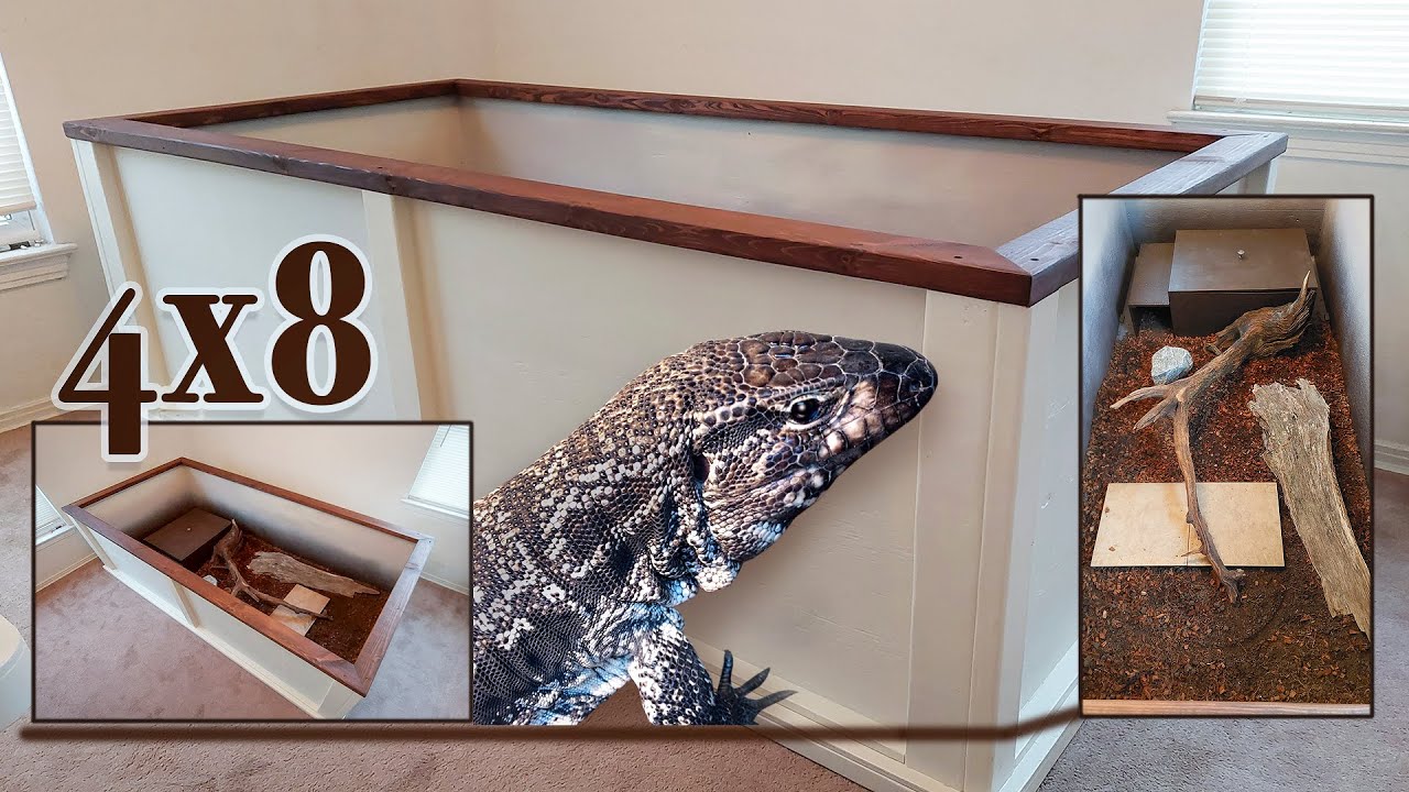 Tegu Lizard pen/cage build #4 video...It's now inside/a big move