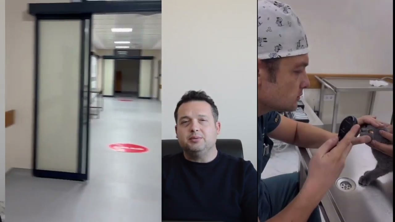 SİÜ SABE Veterinerlik Cerrahisi Lisansüstü Programları