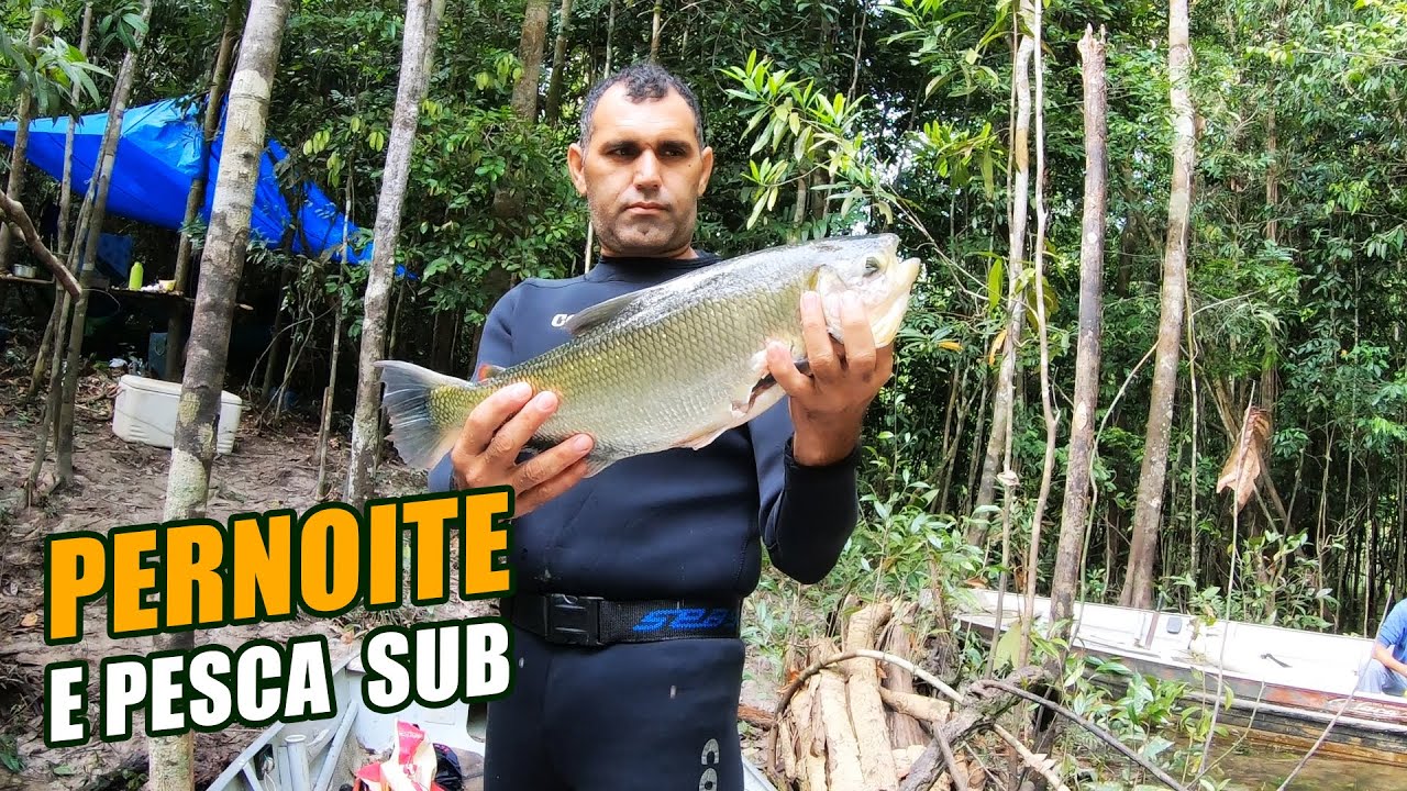 PERNOITE E PESCA SUB NA FLORESTA AMAZÔNICA