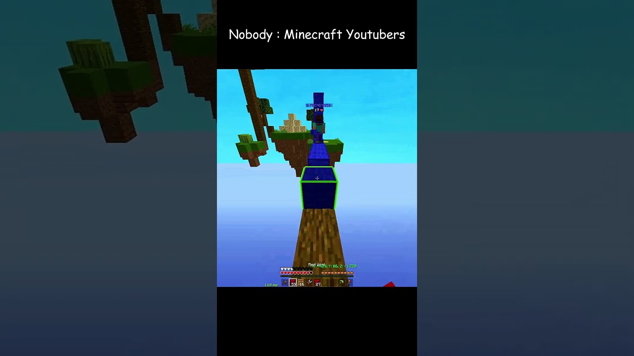 Minecraft Youtubers Be Like 