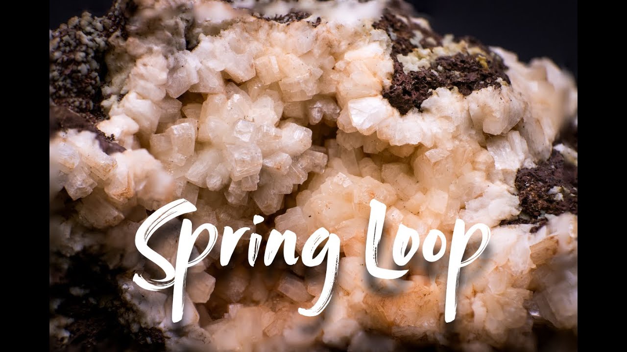 Spring Loop