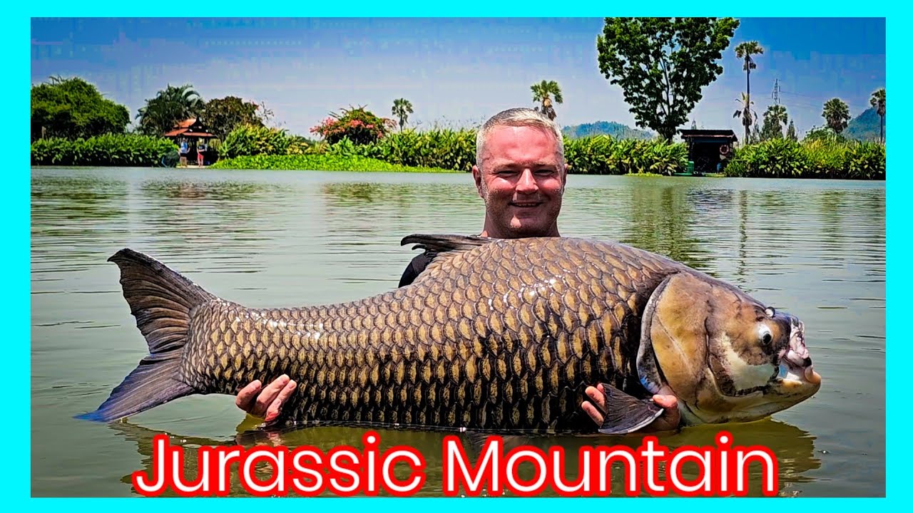 Dream fishing for MONSTER Siamese Carp