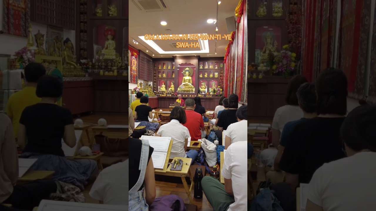 Phowa Practice on 22 September 2024 with Amitayus Buddha mantra recitation for long life.