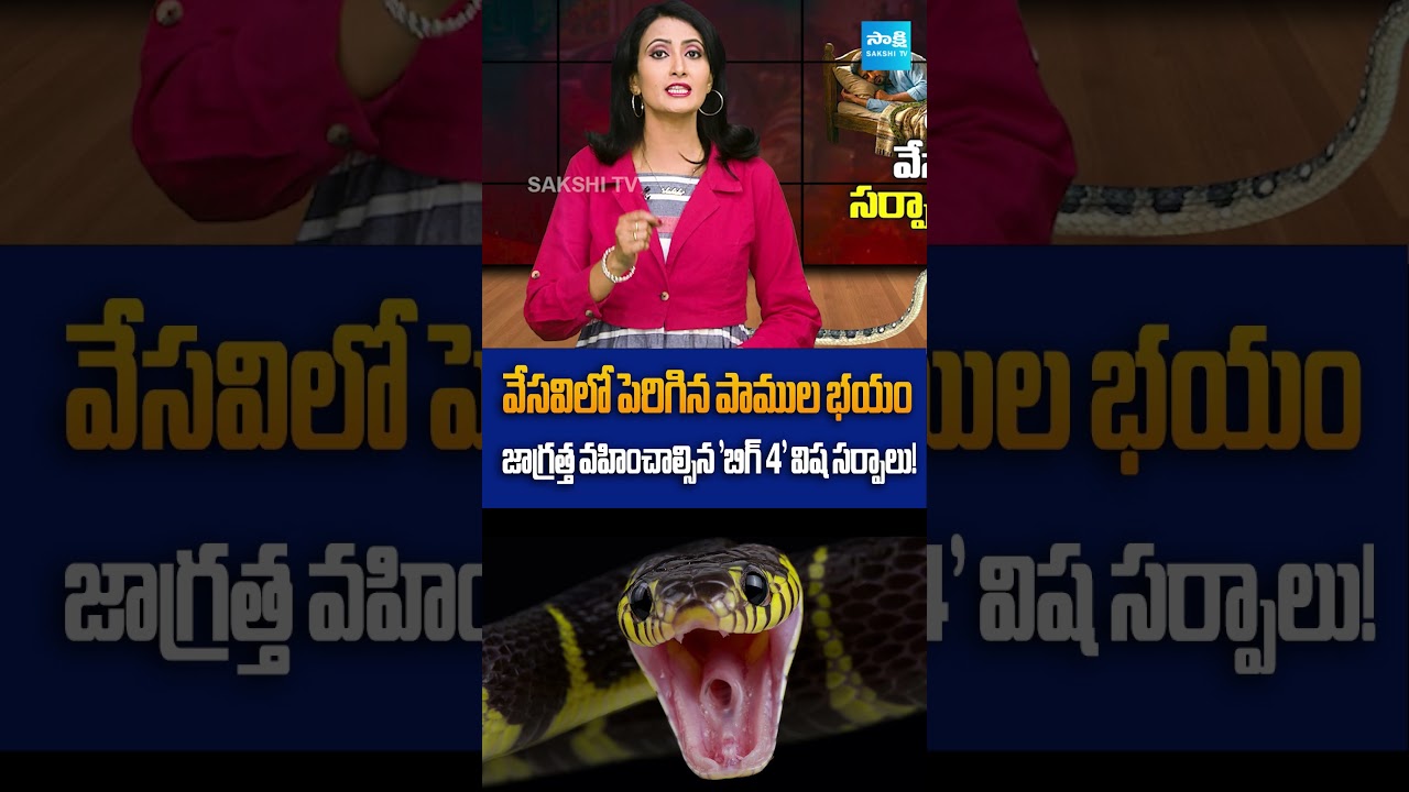 Snakes Entering Homes in Summer? Shocking Kerala Incident Sparks Fear!@SakshiTVDigital