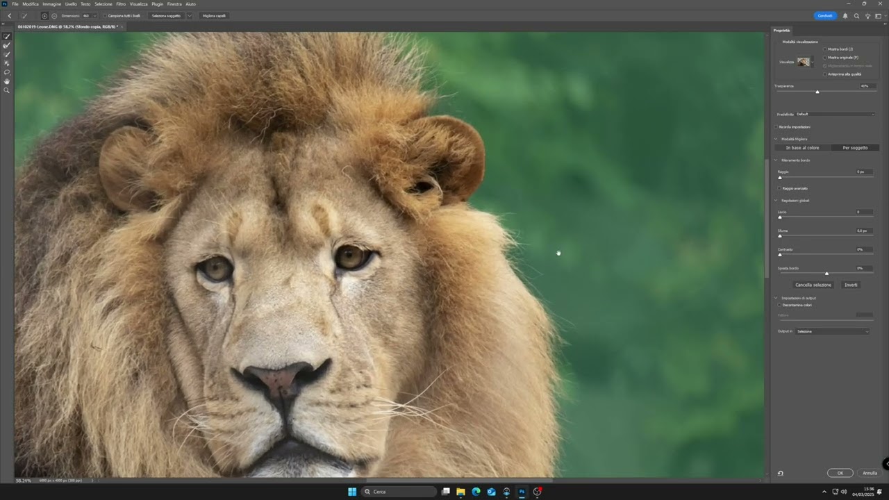 Photoshop CC Trucco per ottenere Selezioni Complesse