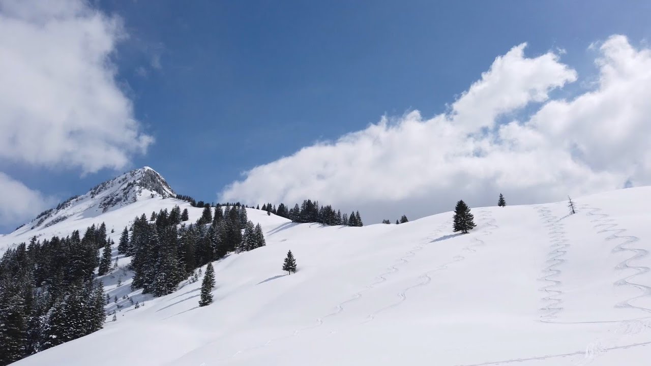 Skitouren Bregenzerwald: Zum Damülser Horn (Mini Skitour mit Start beim Jägerstüble Nähe Furkapass)